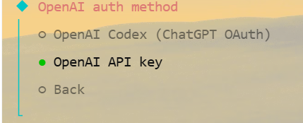 选择 OpenAI Codex OAuth + API key